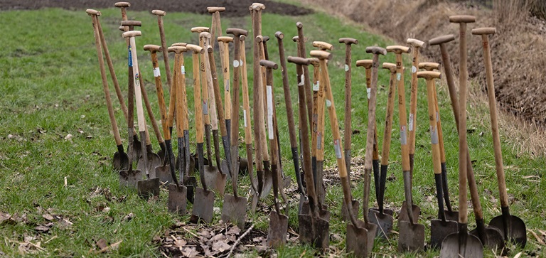 Boomplantdag