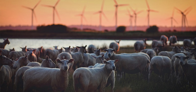 RVO; energiebesparen; energiebesparende maatregelen bedrijven