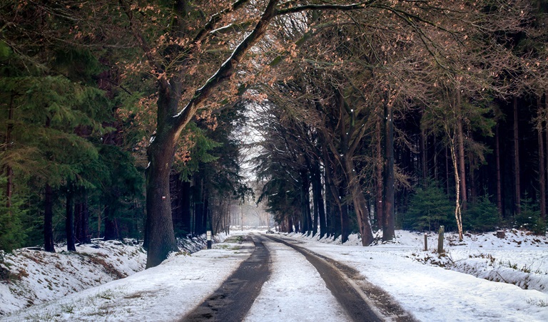 Blog chris winter