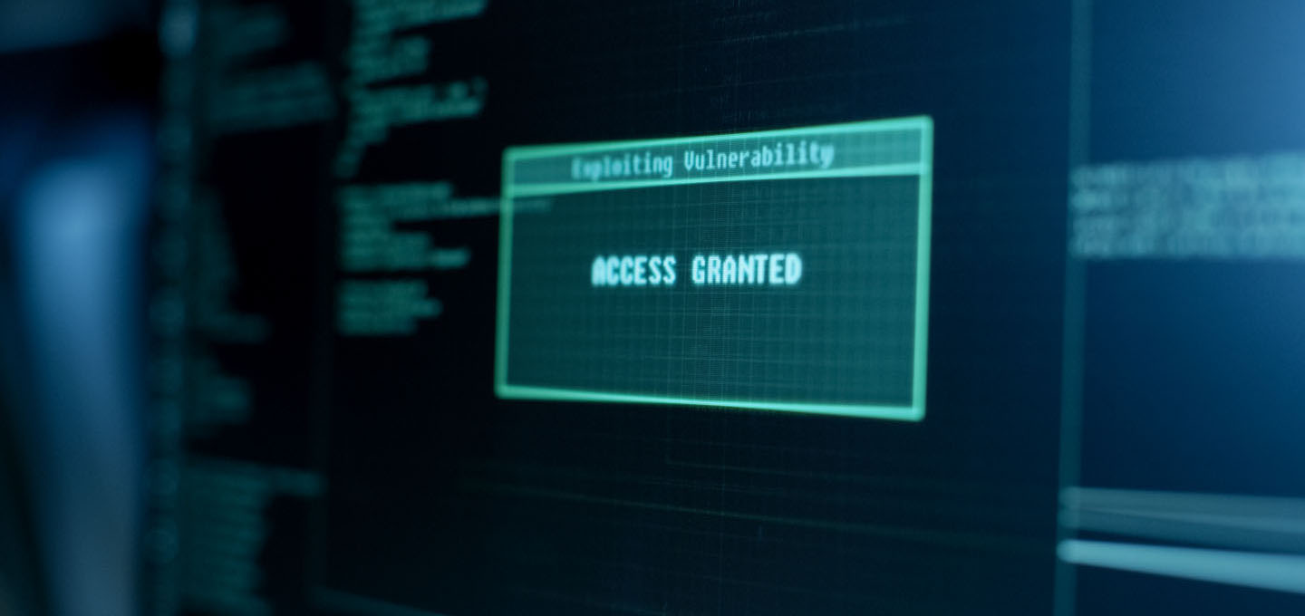 access granted