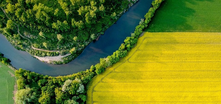 rivier in landschap in Nederland