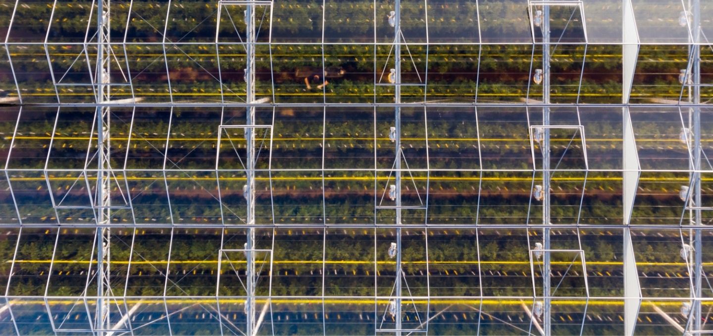 tuinbouw kas van bovenaf