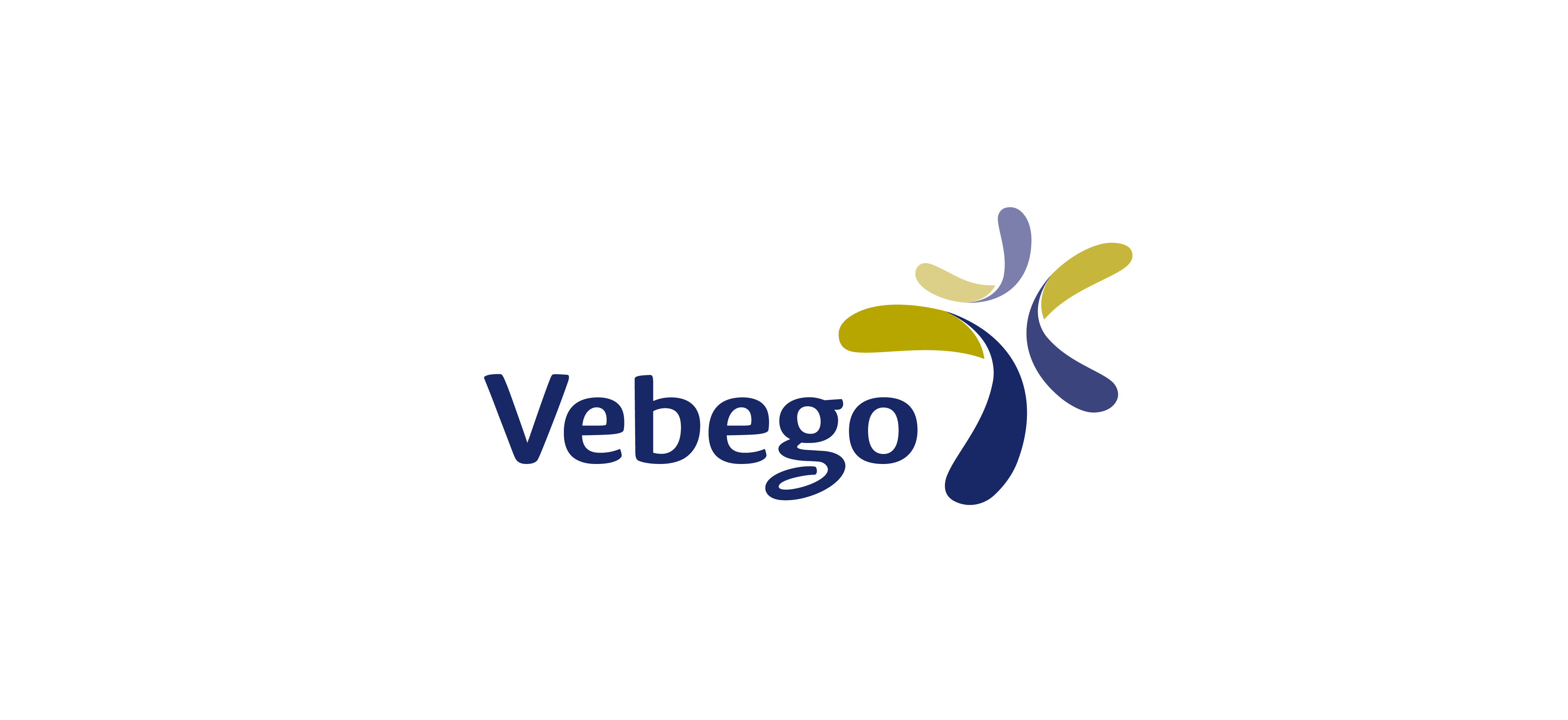logo vebego
