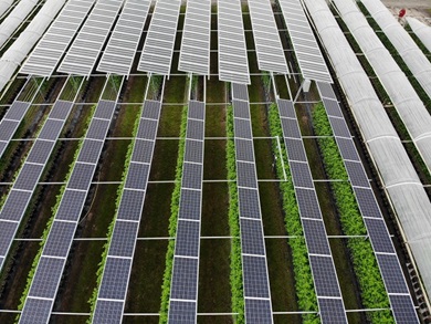 Agri-pv-proefopstelling-Asten