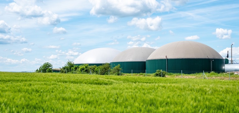 Biogas