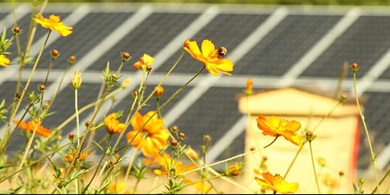 VS_bestuivers_biodiversiteit