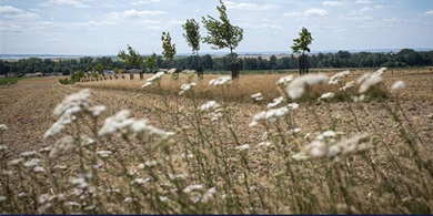 Greviere_biodiversiteit