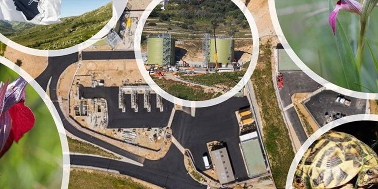 Loregaz_biodiversiteit