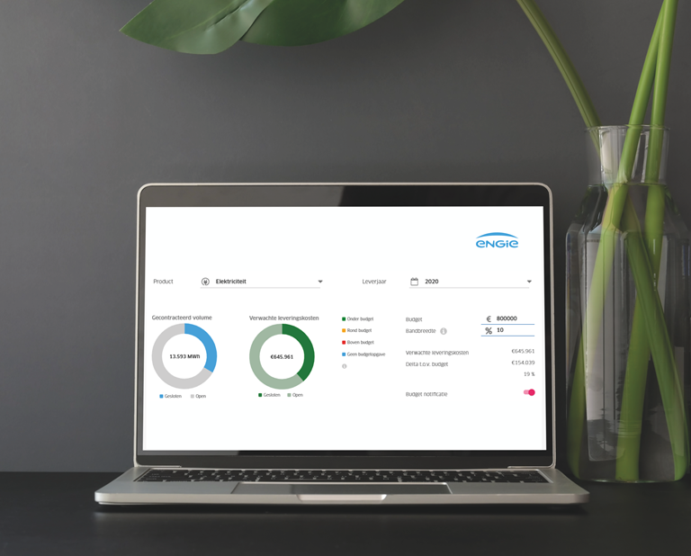 Screenshot budgetmodule