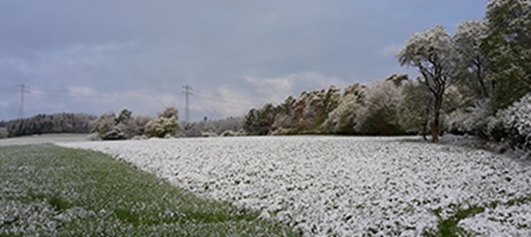 April doet wat het wil - blog Chris Guth