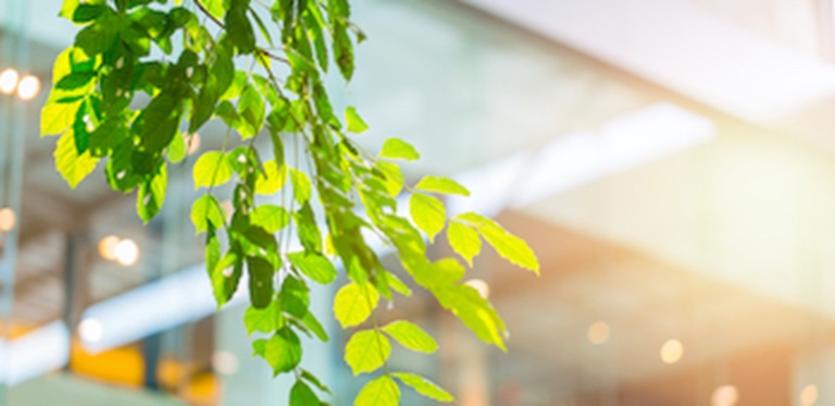 Duurzame zorg: hoe ziet dat eruit? 